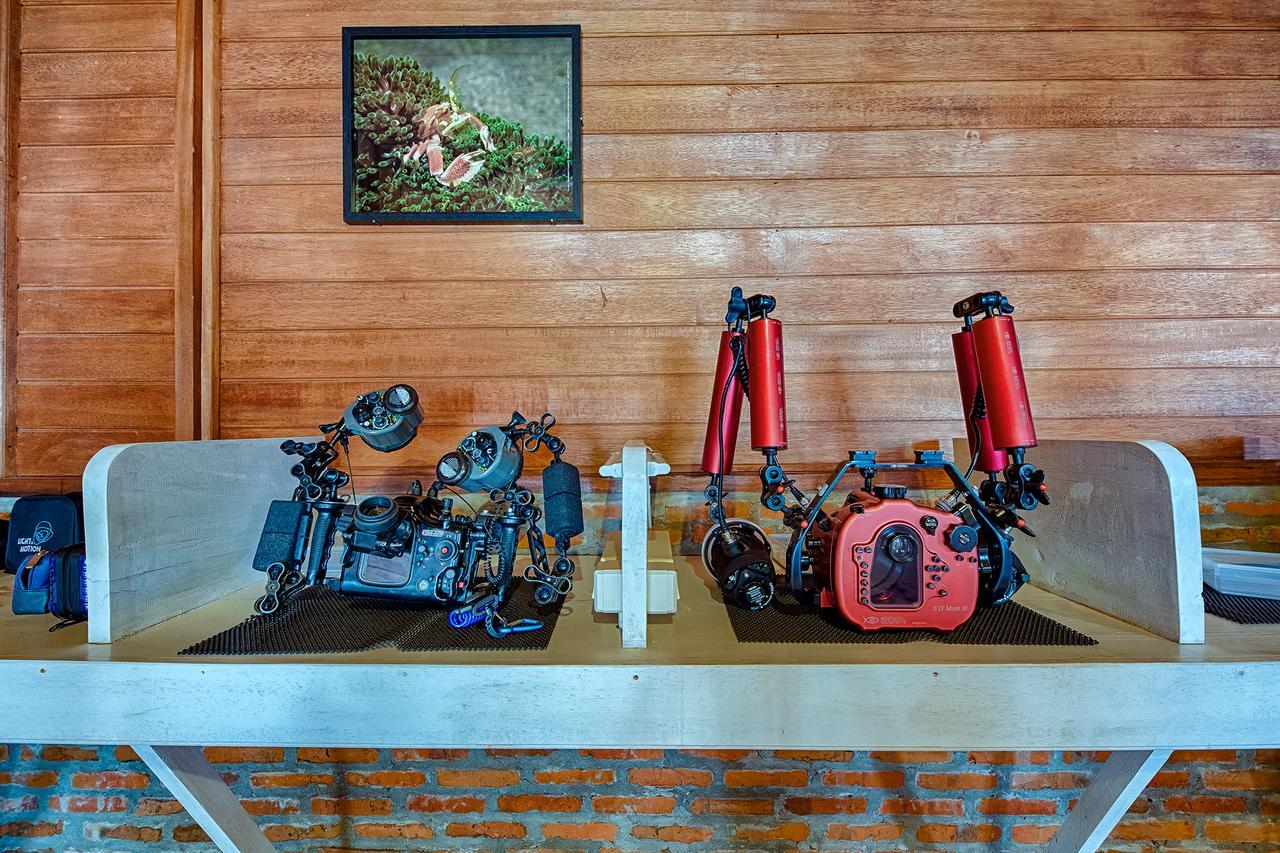 Kuda Laut Boutique Dive Resort Bunaken Eksteriør billede